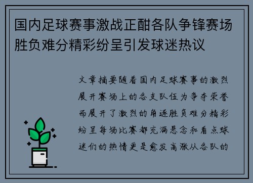 国内足球赛事激战正酣各队争锋赛场胜负难分精彩纷呈引发球迷热议