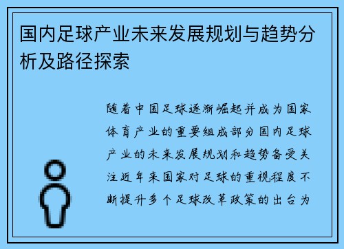 国内足球产业未来发展规划与趋势分析及路径探索 国内足球产业未来发展规划与趋势分析及路径探索